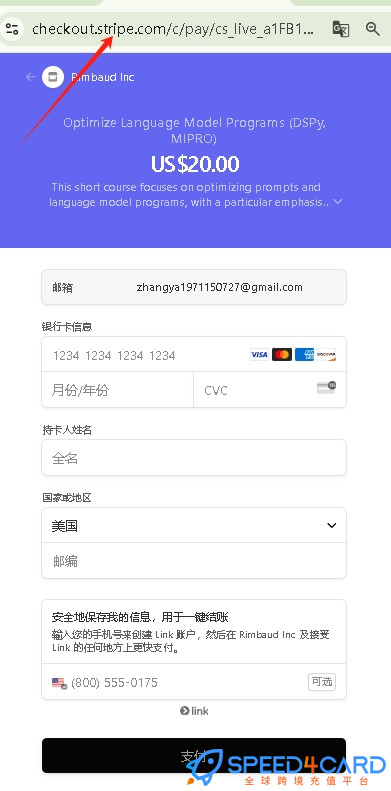 Lycee代购代付订阅AI [人工代购]怎么支付？- Speed4Card专业充值平台